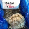 「魚魚市場鮮魚コーナーおすすめは「北海道産活ホタテ・イトヨリ」です♪」