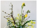 春を告げる花々　黄色い小さな花サンシュユ《フラワーアレンジメント教室》《造園・ガーデニング》