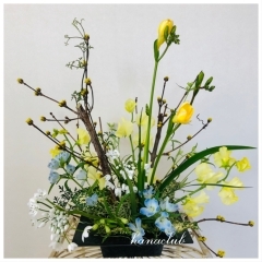 春を告げる花々　黄色い小さな花サンシュユ《フラワーアレンジメント教室》《造園・ガーデニング》