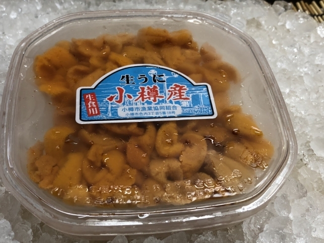 本日 シャコが入荷しました O M T本間水産のニュース まいぷれ 小樽市 本日 シャコが入荷しました O M T本間水産のニュース まいぷれ 小樽市