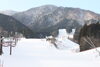「本日（1月28日）のゲレンデ写真です。」