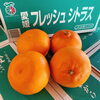 「愛媛県産「せとか」の入荷量が増えてきていますよー♪」