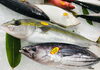 「魚魚市場鮮魚コーナーおすすめ商品は「本ガツオ・レンコ鯛」です♪」