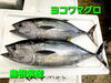 「金曜日恒例‼️お惣菜もありますよ」