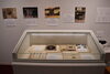 展示風景「寄贈いただいた「レコード」」