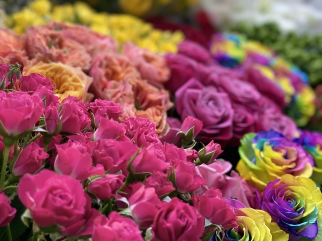 薔薇の花束も人気です！「*˙︶˙*)ﾉ"愛妻の日♡お知らせPart2♪」