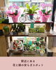 「暮らしに寄り添う、北松戸のお花屋さんをご紹介🌸🍊」