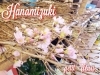「桜入荷✩.*˚」