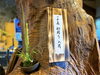 「今年も一本義酒造 さんから初搾り入荷しております！」