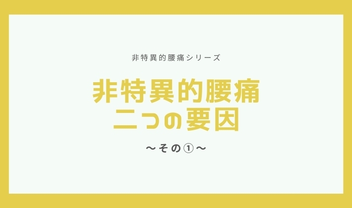 「非特異的腰痛二つの要因～その①～【腰痛・坐骨神経痛・整体・那須塩原・大田原】」