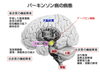 高草木薫先生の資料より「【リハビリ】今日は勉強三昧」