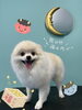 「今日のわんちゃん꙳★*ﾟDog slon mofu mofu余市町」
