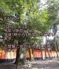 「診療受付時間変更のお知らせ」