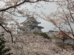 天ヶ城公園