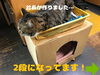 「最近の2匹の居場所」