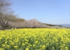 西都原古墳群