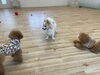 今日は何して遊ぶ？　相談中かな^o^「ましゅまろ幼稚園　♪( ´θ｀)」