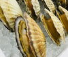 「魚魚市場鮮魚コーナーおすすめは「北海道産ホタテ・ノドグロ」です♪」