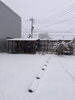 外は寒寒　中は燃燃ホットテニス「雪にも負けず」