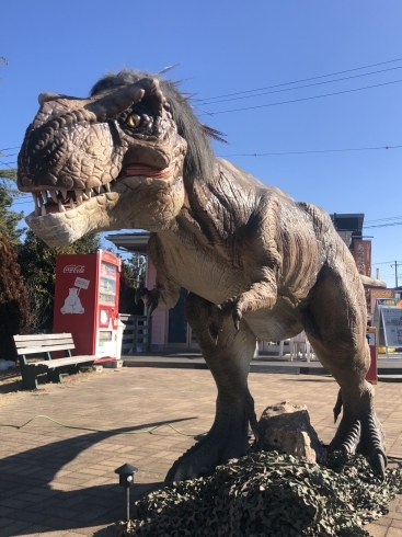 本日は「ジュラシックサーカス」開催します！！【木更津市民会館の隣り