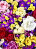 おふさ観音の花手水「現在の花おふさ観音の花手水の様子です！」