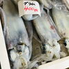 「魚魚市場鮮魚コーナーおすすめは「水イカ・サバ・あじ」です♪」