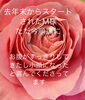 「始めて良かった耳ツボダイエット」