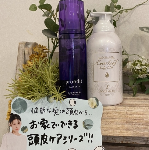 伊丹　美容室　dot.hair「頭皮ケア☁️☁️ 伊丹美容室」