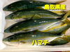 「木曜ですが‼️お惣菜販売してます‼️」