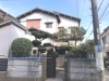 植木の剪定「大阪で植木の剪定管理をしました！」