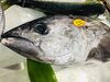 「魚魚市場鮮魚コーナーおすすめは「シビマグロ・ボイル伊勢えび」です♪」