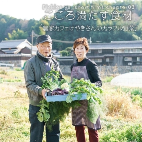 ピクルス屋　You Tube チャンネル「ピクルス屋YouTubeチャンネル。こころ満たす食材、奈良県天理市の「農家カフェけやきさんのカラフル野菜」をお届けします。」