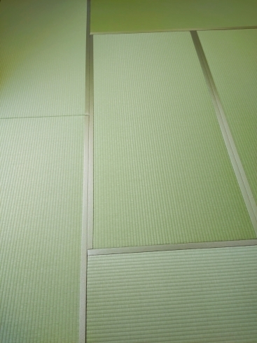 ダイケン和紙製畳表（銀白色)を使用した表替え「ダイケン和紙製の畳表を使用した表替えで部屋の雰囲気が変わります！」