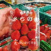 「岩手県産　JAいわて平泉　「さちのか」」
