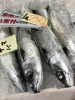 「魚魚市場鮮魚コーナーおすすめは「ゴマサバ・キンメダイ」です♪」