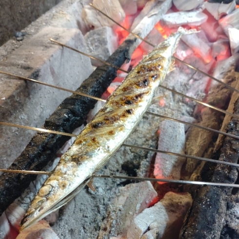 秋刀魚の一本焼き「サンマ」