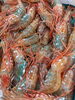 活ボタン海老です。お早めにどうぞ!「秋は、秋刀魚に冷やおろしです。」