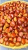 　「🌰１回目の栗蒸し羊羹🌰」