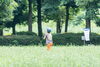 「愛でる？気持ち悪い？虫【季節　秋　徒然雑感】」