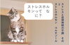 「ストレスと自律神経の不調　その3　ストレスホルモン　コルチゾール【船橋市の鍼灸整体治療院　めまい、頭痛、自律神経のお悩み、長年の身体の不調に悩まされている方に】」