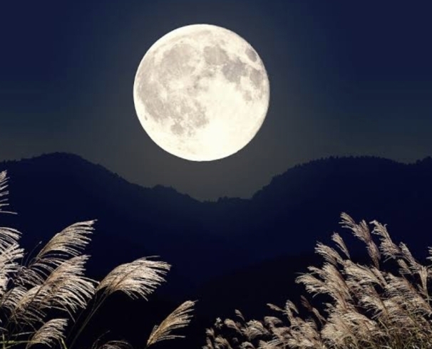 中秋の満月ヒーリング「【 秋分明けのエネルギーの変化、強烈です。特別な中秋の満月ヒーリングのご案内です】 メタトロン鳥取・米子・境港・松江」