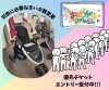 「おさがりマルシェからお知らせ✨📢」