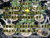 「臨時休業のお知らせ」