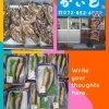 本日入荷│鮎│生サンマ│等、　店主厳選の鮮度が自慢の魚介類が並ぶ鮮魚店！枚方市茄子作北町1-7（ひらかたポイント使えます。）