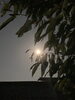 中秋の名月🌕✨「塩冶小学校校区　小学生対象　塾でもあり学童でもある　ミネルヴァこども学院　”対話する”ということ　その1」