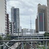 「橋から見える東京スカイツリー」