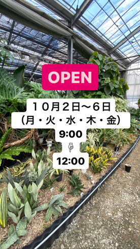 ハウス内「営業日のお知らせ」