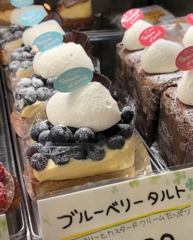 「ブルーベリータルト☆　《ケーキ・スイーツをご紹介　札幌市南区の洋菓子店　ポワソンダブリール》」