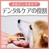 犬のデンタルケア