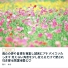  【ココナラサービス始めました】埼玉発！婚活　コーチング　ゼロをプラスにする～縁結び～marriage　flower 